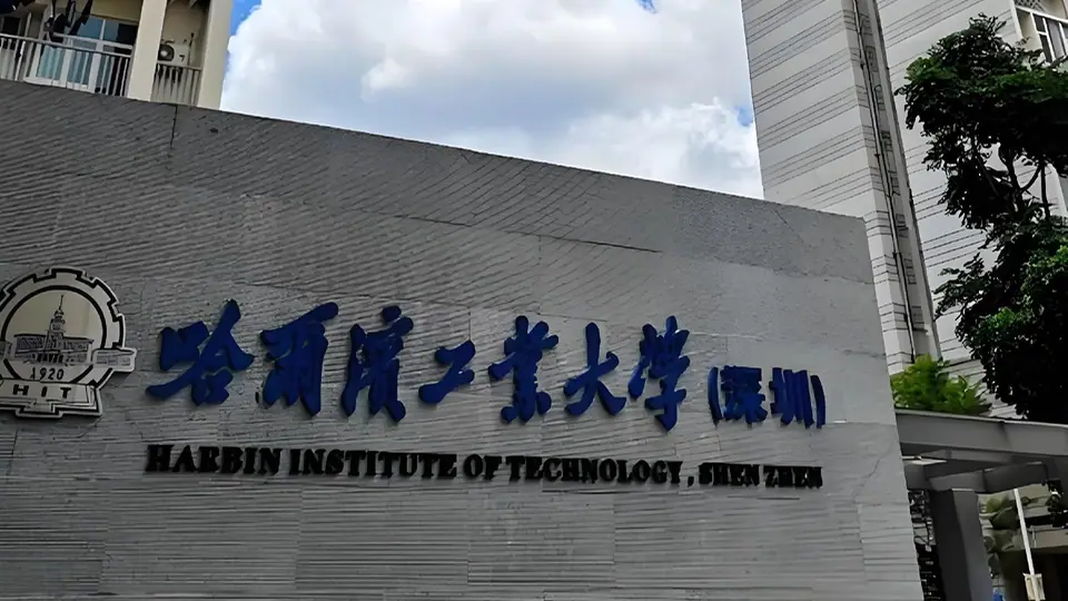 深圳市儿童与青少年群体出行特征与绿地感知